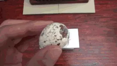 小哥哥還原宮崎駿動畫里的袖珍美食,270 萬粉絲看得直流口水!