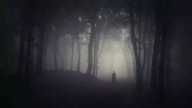 千萬別在樹林玩「手電筒遊戲」!!因為黑暗中你不知道到底還有誰...