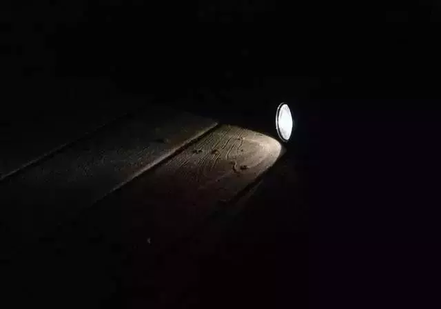 千萬別在樹林玩「手電筒遊戲」!!因為黑暗中你不知道到底還有誰...