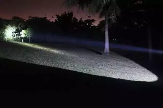 千萬別在樹林玩「手電筒遊戲」!!因為黑暗中你不知道到底還有誰...
