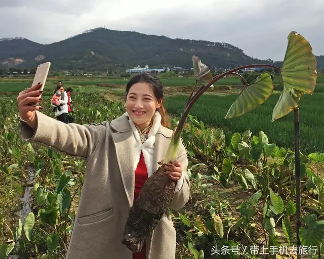 手機拍出清晰照片的20個竅門