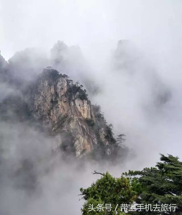 手機拍出清晰照片的20個竅門