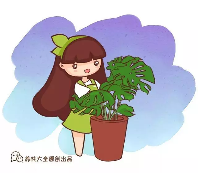 垃圾桶裡撿了半截樁,回家扔盆裡就冒芽,1個月躥成搖錢樹!