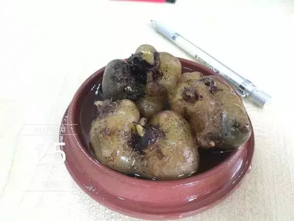 垃圾桶裡撿了半截樁,回家扔盆裡就冒芽,1個月躥成搖錢樹!