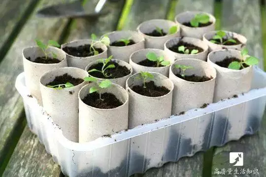 捲紙「最值錢」的就是芯了!可惜你把它們全扔了!