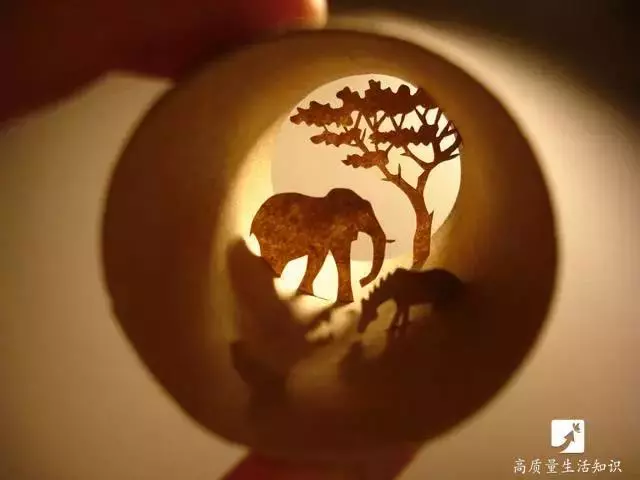 捲紙「最值錢」的就是芯了!可惜你把它們全扔了!