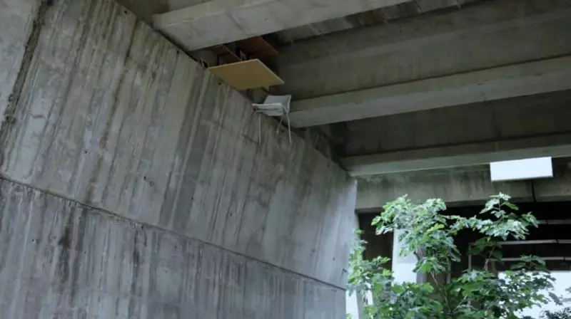 他突發奇想,打造秘密基地懸掛「橋底下」!小小麻雀五臟俱全,設計讓人讚嘆,至今仍沒人發現!