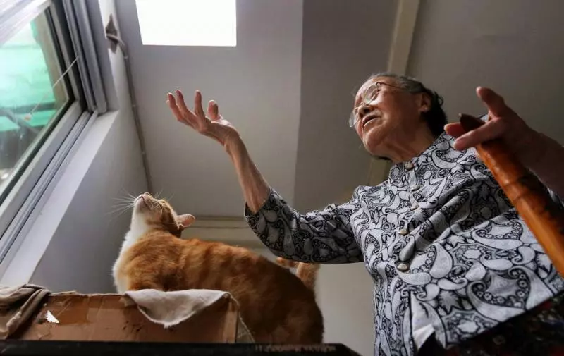 87歲阿嬤「收留200隻浪喵」不後悔! 靠退休金硬撐:它們都是我的孩子...