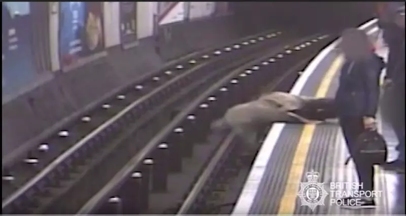 渣男多次趁地鐵列車即將駛入月台時,推乘客下路軌再逃走!過程視頻全被拍下!