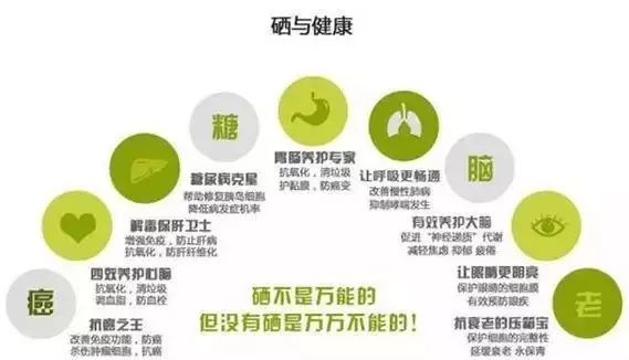 硒是微量元素中的「胰島素」,搭配這8種食物,降糖更有效!