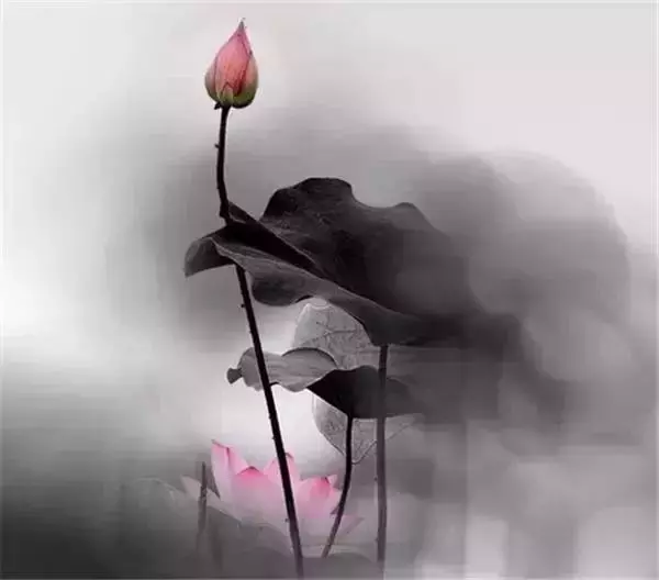寧可孤獨,也不違心!