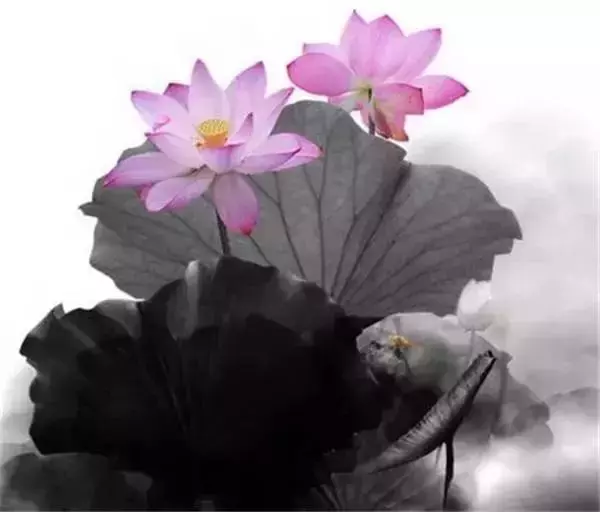 寧可孤獨,也不違心!