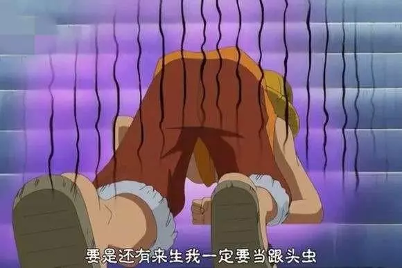 海賊王中能讓草帽一夥四大戰力下跪的人,娜美並不是唯一的一個!