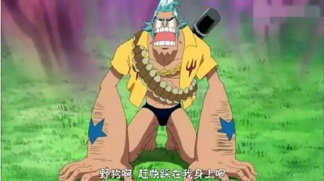海賊王中能讓草帽一夥四大戰力下跪的人,娜美並不是唯一的一個!