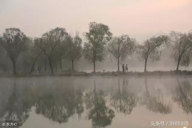 嫂子,過去的事咱們就不要提了,你就可憐可憐我媽,原諒她吧