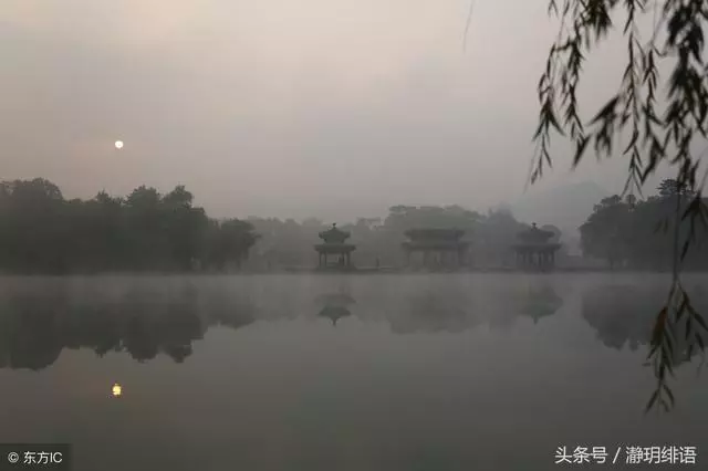 嫂子,過去的事咱們就不要提了,你就可憐可憐我媽,原諒她吧