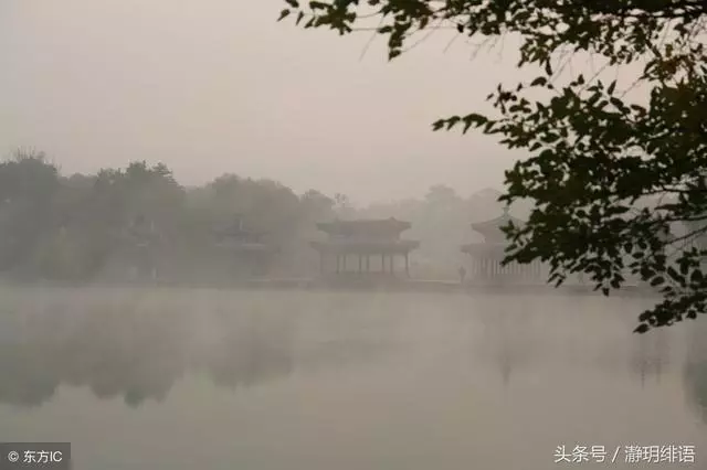 嫂子,過去的事咱們就不要提了,你就可憐可憐我媽,原諒她吧