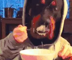柿子不能和什麼一起吃?這 5 件事確實要注意