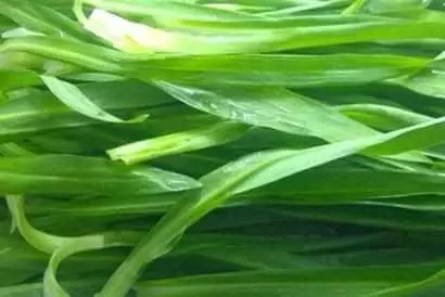 女人有小肚子不要急,常吃幾種「鹼性食物」,甩掉肚腩身體更健康