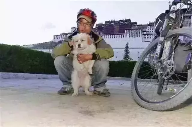 當年那隻跑完川藏線的小狗,如今也一直走在路上