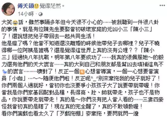 不爽陳子強再婚!傅天穎臉書暴走「小三篡位成功」還想搶兒子,吞忍5年飆罵:「佩服你們的謊言」!