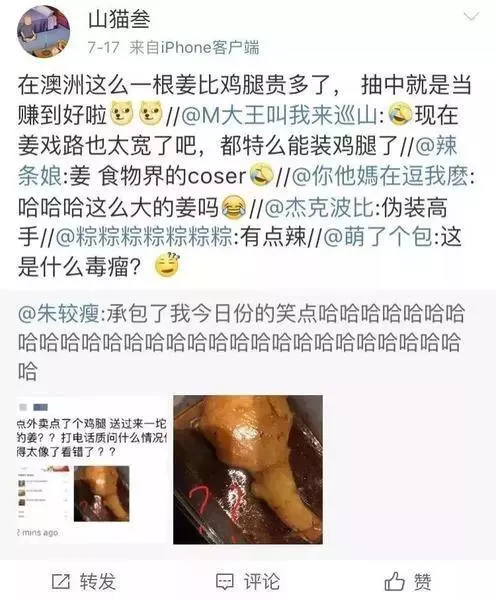 澳洲華人小哥點了個雞腿外賣,送到時懵了:這特麼是雞腿?