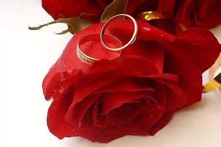 婆婆不讓我參加小姑子婚禮,知道真相後,我穿上喪服衝到婚禮現場!