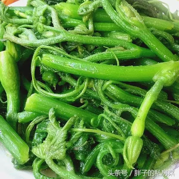 這6道家常菜,做法簡單一看就會,給肉都不換!
