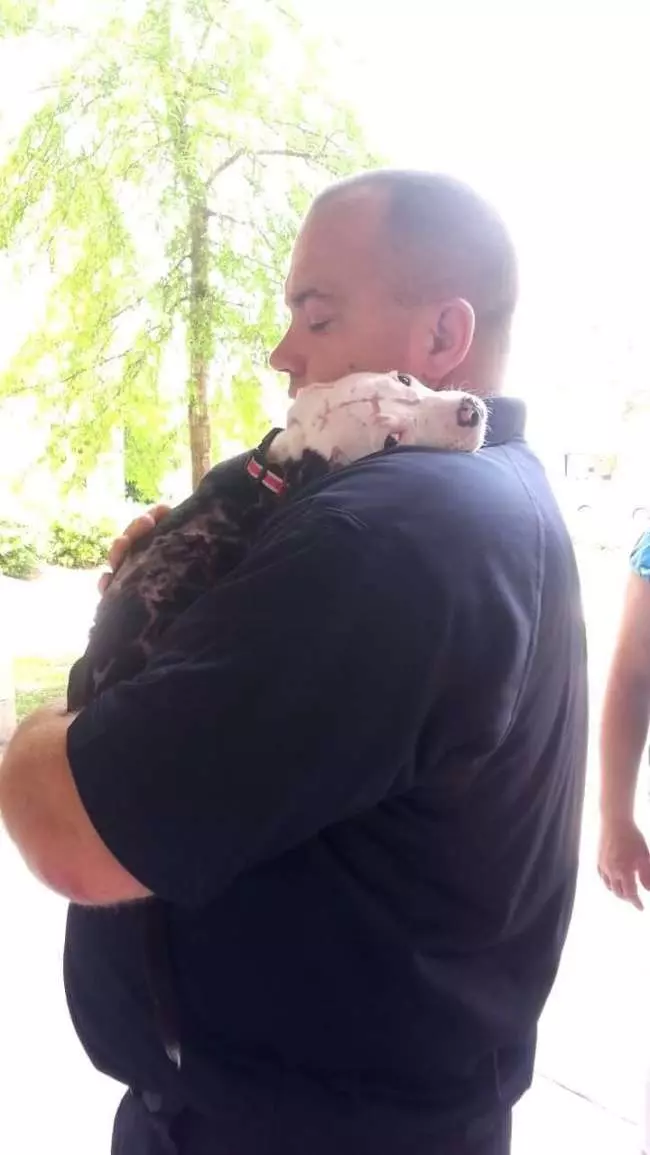 你救了動物,它們都懂! 13張證明「動物會感恩」的超暖心道謝照片