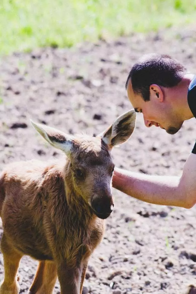 你救了動物,它們都懂! 13張證明「動物會感恩」的超暖心道謝照片