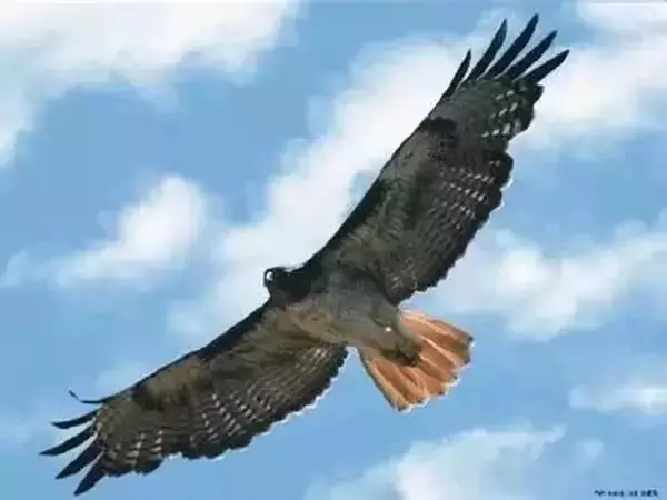 做大事的人,都有十個共性