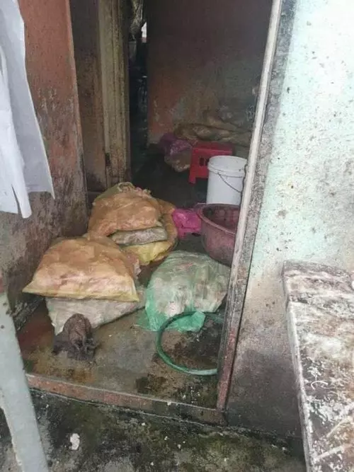 馳名雞骨沙爹衛生糟透 生產環境像豬欄