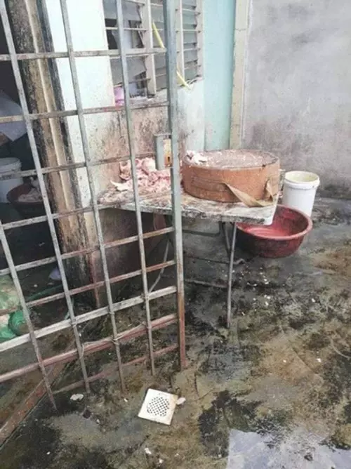 馳名雞骨沙爹衛生糟透 生產環境像豬欄