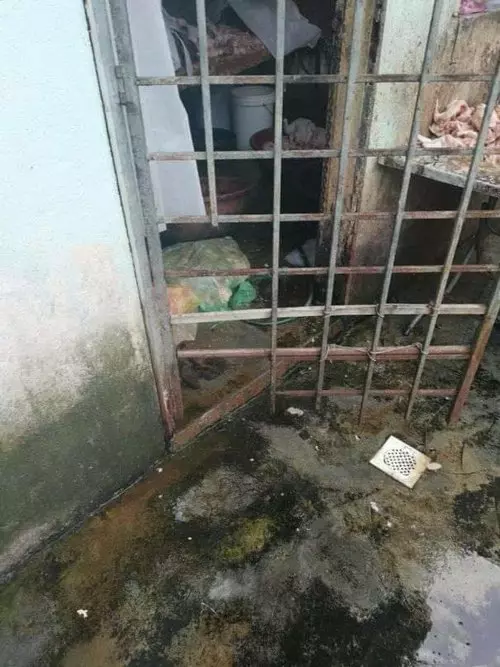 馳名雞骨沙爹衛生糟透 生產環境像豬欄