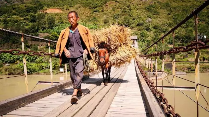 又一「世界之最」 「兩根筷子」撐起中國奇蹟