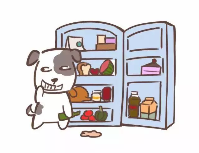 你不在家的時候狗子都在幹嘛?看到最後我決定早點回家