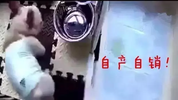 你不在家的時候狗子都在幹嘛?看到最後我決定早點回家