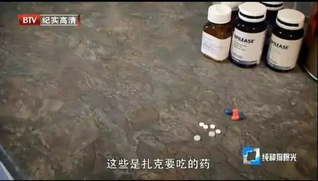 一隻每天吃18種藥物,發病時痛到打滾的狗,主人說都是好看惹的禍