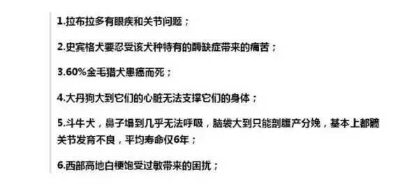 一隻每天吃18種藥物,發病時痛到打滾的狗,主人說都是好看惹的禍