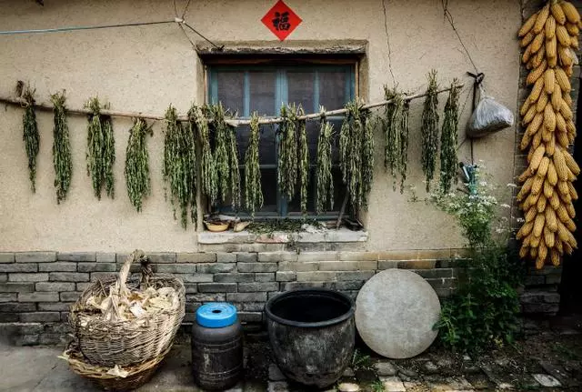 兒子接年邁的母親進城享福,半夜起來喝水聽到兒媳說的話,她愣了