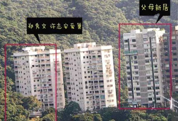 鄭秀文身價過億卻嫌老人住房太大,把80歲父母趕去住小屋,如今46歲近況曝光成這樣