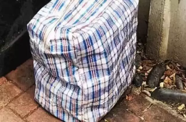 深夜救下的臨危流浪狗竟是自己丟失半年愛寵,女子泣不成聲……