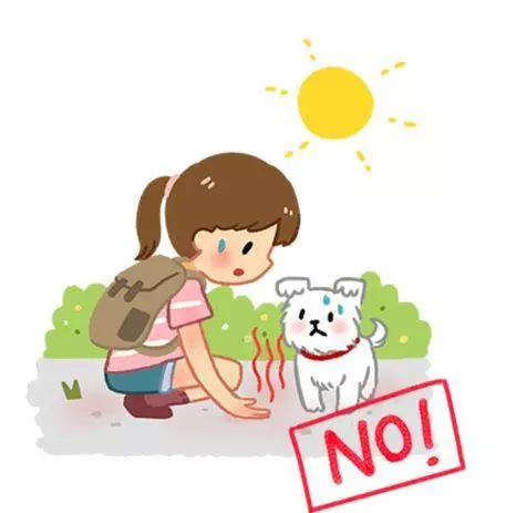 6種最傷狗的遛狗方式:80%的養狗人都正在這樣做……