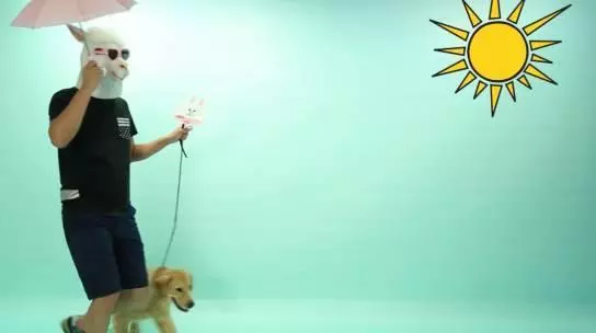6種最傷狗的遛狗方式:80%的養狗人都正在這樣做……