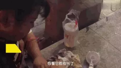 養狗人必知的一個動作,在關鍵時刻能救狗狗性命的動作