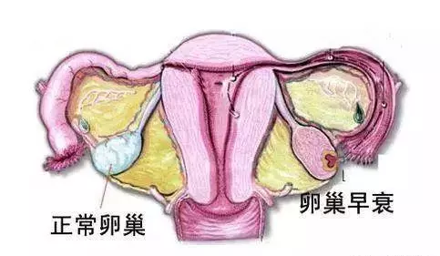 經常熬夜的人,身體會有5個表現,占2個以上,提醒你,別忽視!