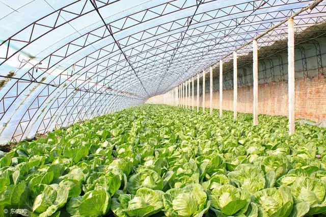食物營養越來越縮水,如果忽視這十大建議,可能真的會營養不良!