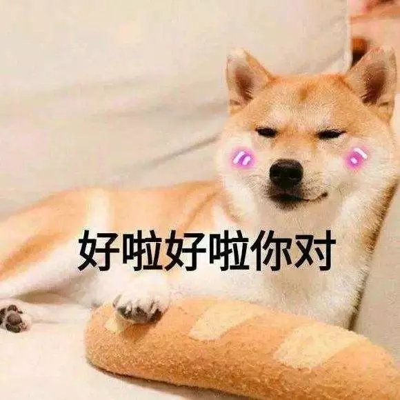 狗咬你不是沒道理:盤點最招狗討厭的幾個行為