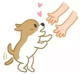 狗咬你不是沒道理:盤點最招狗討厭的幾個行為