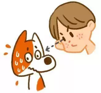 狗咬你不是沒道理:盤點最招狗討厭的幾個行為